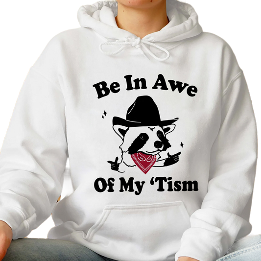 Be In Awe Of My Tism Racoon Shirt, Trending Unisex Tee Shirt, Funny Racoon Shirt, Be In Awe Of My Tism Sweatshirt Hoodie