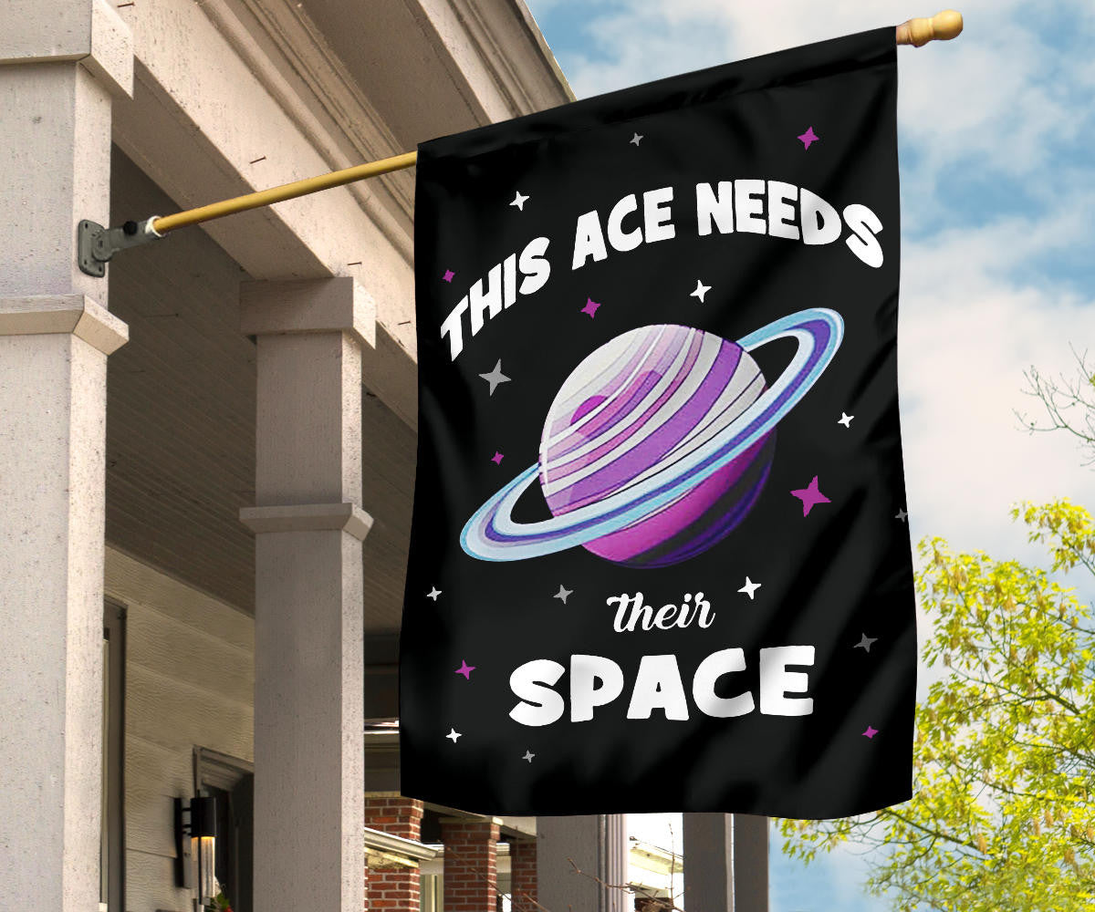 Asexual Flag This Ace Needs Their Space International Asexuality Day LGBT Ace Flag