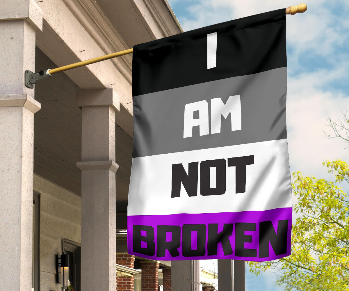 Asexual Flag I Am Not Broken International Asexuality Day LGBT Merch Ace Flag