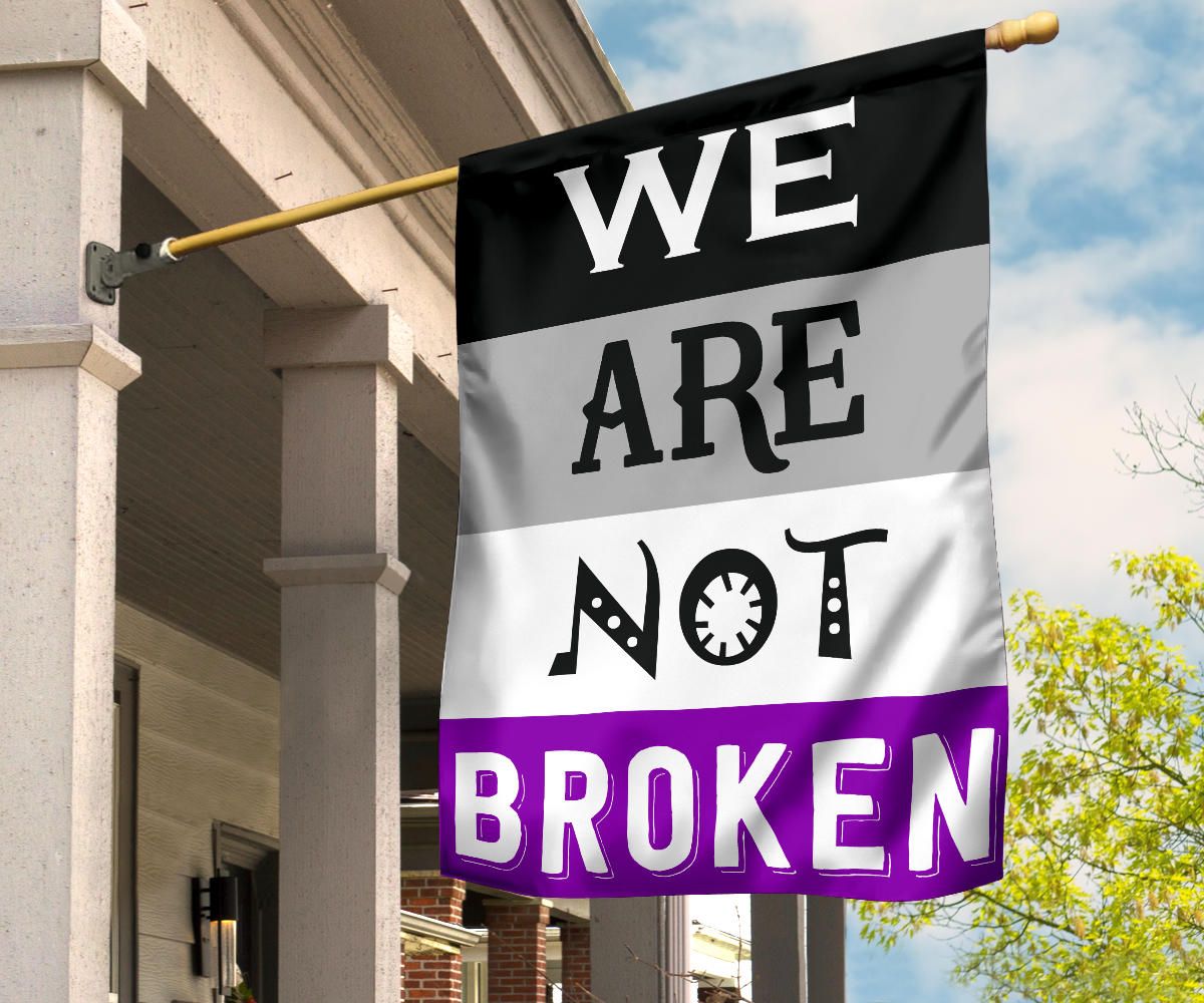 Asexual Flag We Are Not Broken International Asexuality Day LGBT Merch Ace Flag Asexual Pride