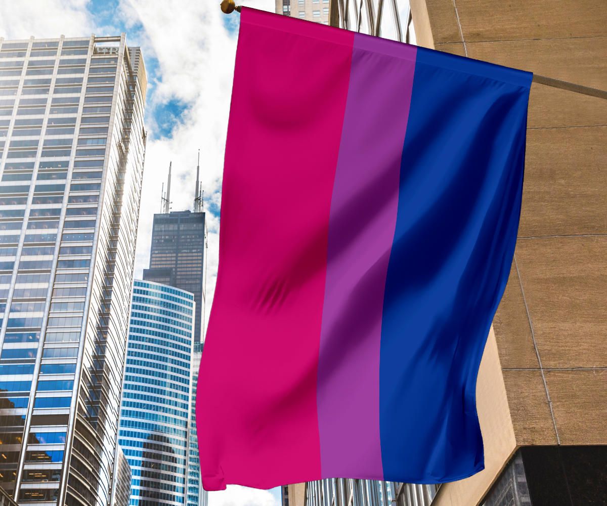 Bisexual Flag Bi Flag LGBT Bisexual Pride Flag For Decorating Gift Bi Curious