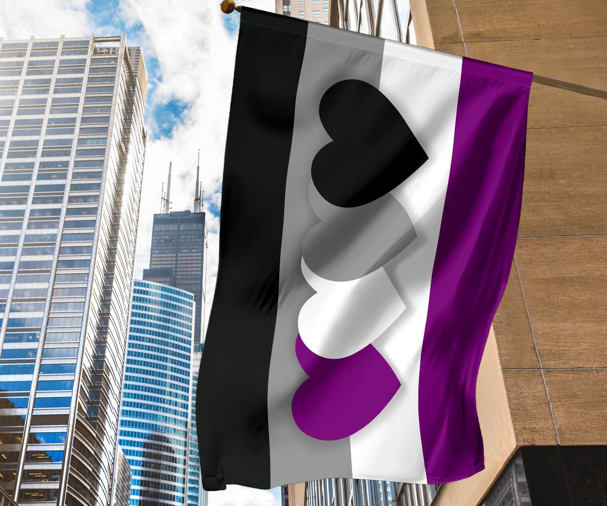 Asexual Flag International Asexuality Day LGBT Merch Ace Flag Asexual Pride Flag