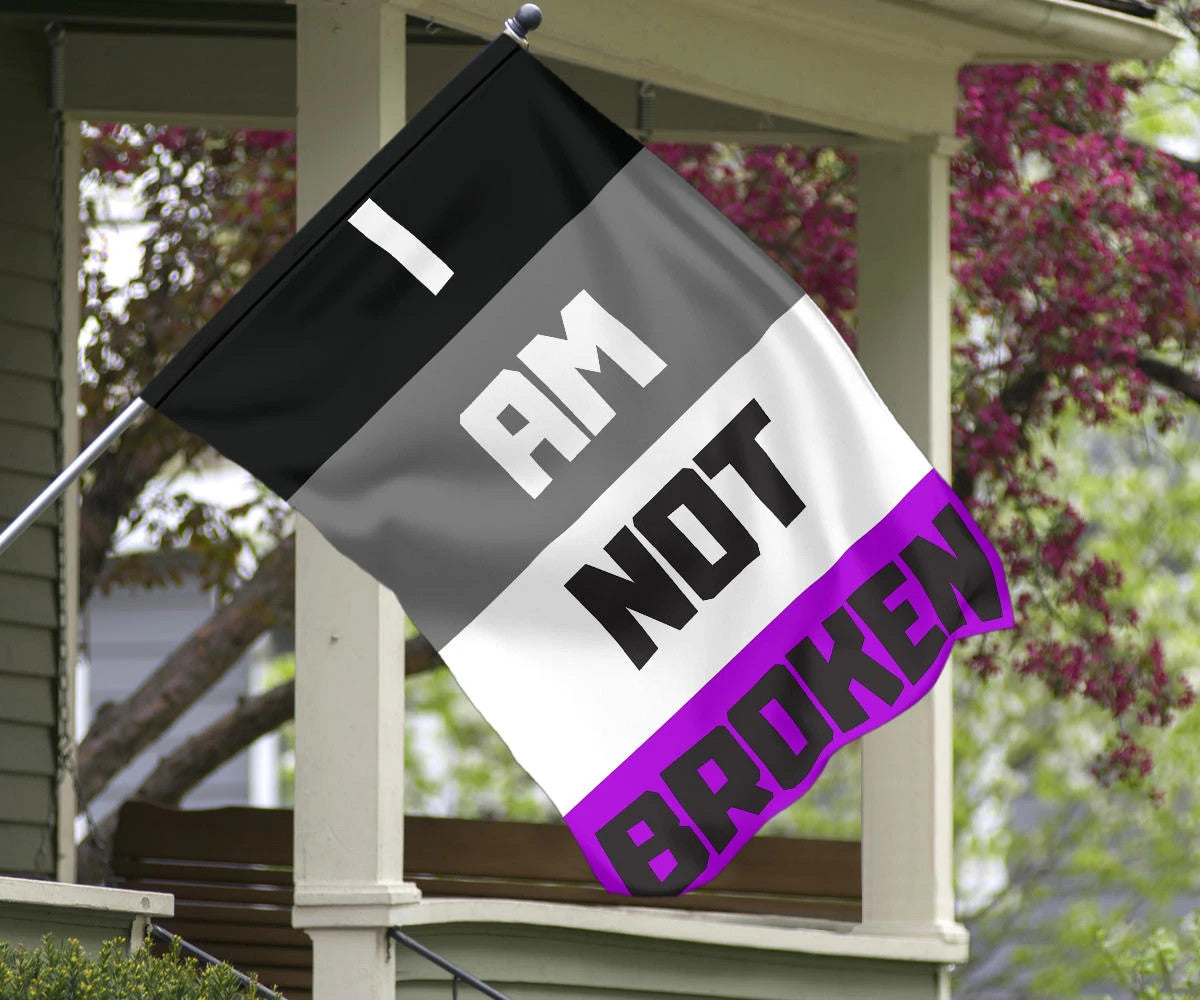 Asexual Flag I Am Not Broken International Asexuality Day LGBT Merch Ace Flag