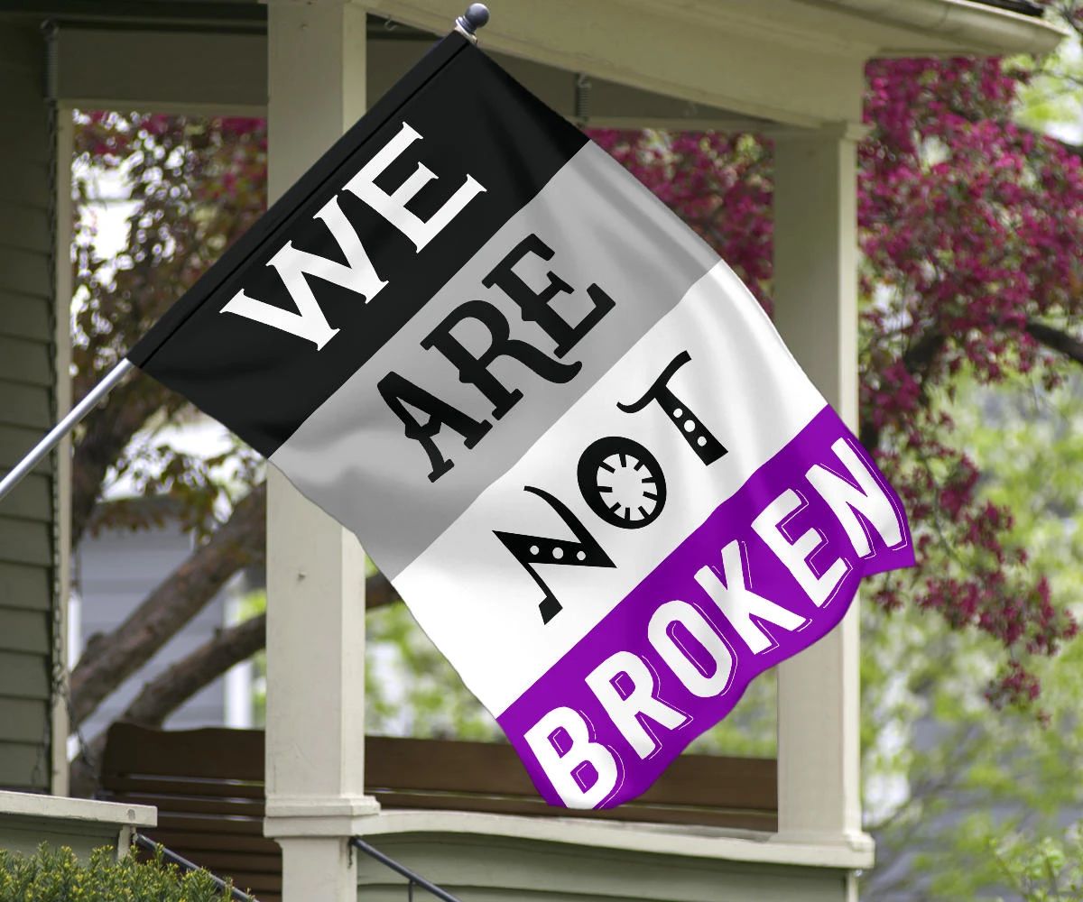 Asexual Flag We Are Not Broken International Asexuality Day LGBT Merch Ace Flag Asexual Pride