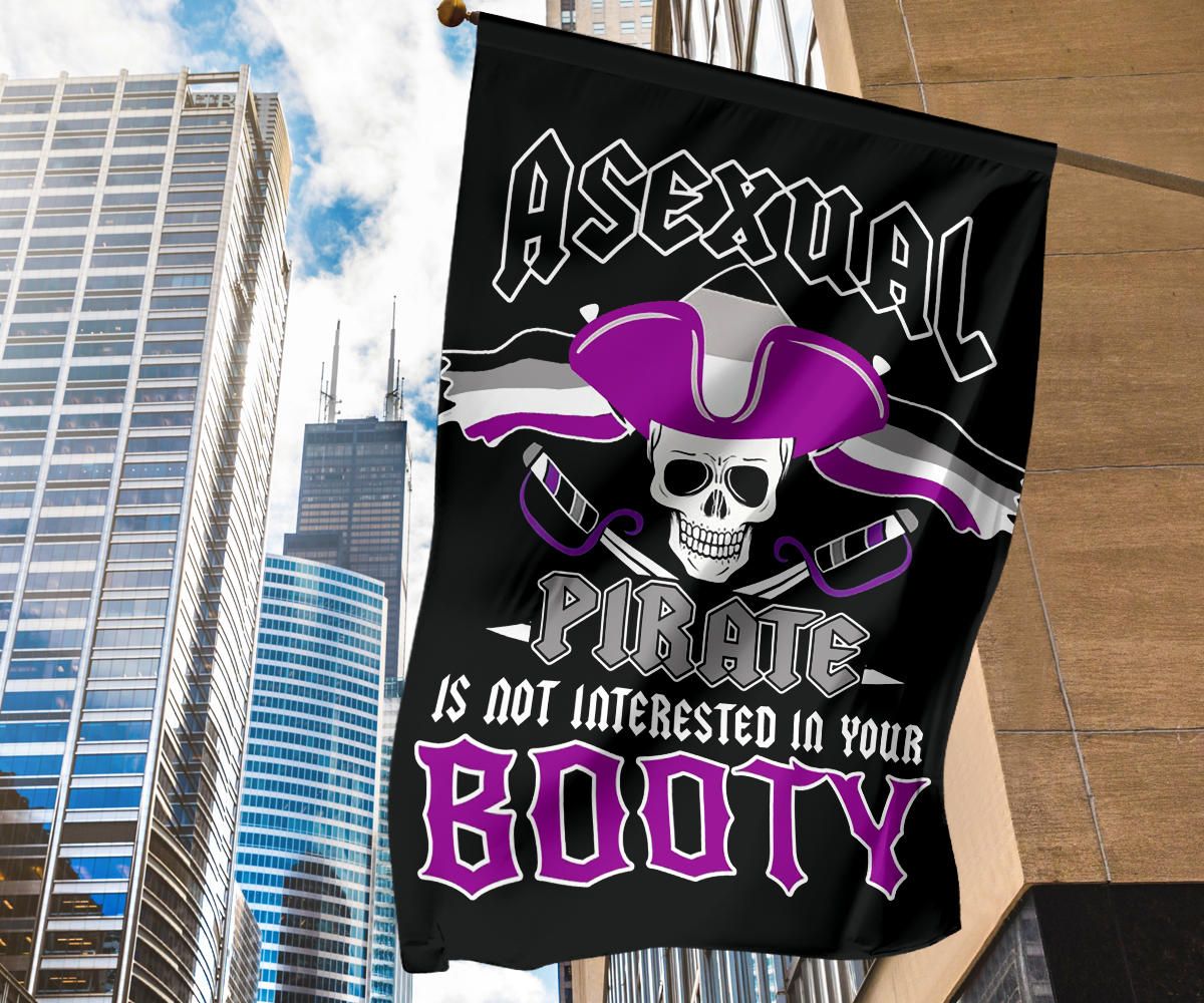 Asexual Flag Asexual Pirate Is Not Interested In Your Booty Flag LGBT Ace Flag