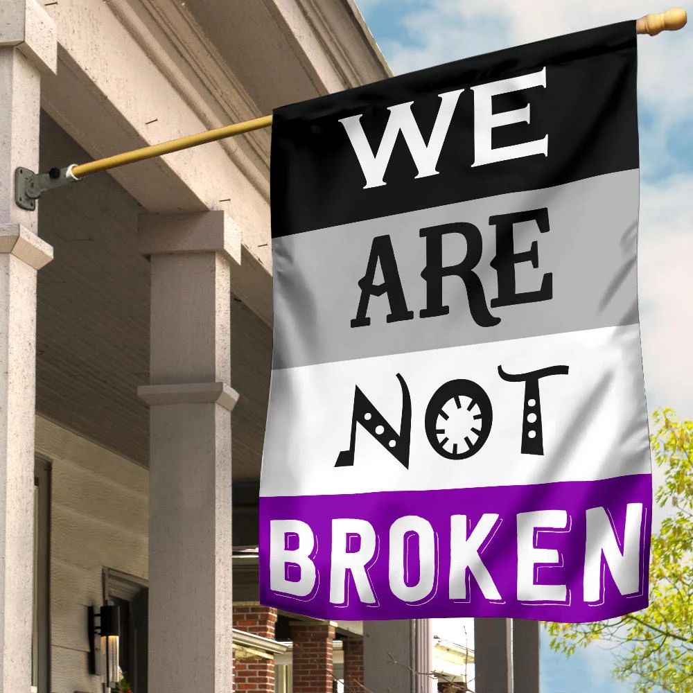 Asexual Flag We Are Not Broken International Asexuality Day LGBT Merch Ace Flag Asexual Pride