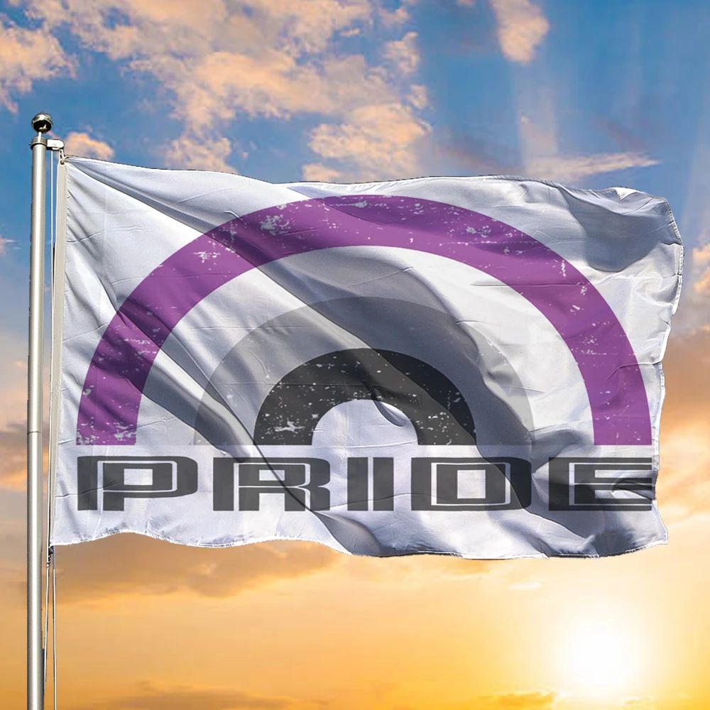 Asexual Pride Flag International Asexuality Day LGBT Merch Ace Flag For Asexual People