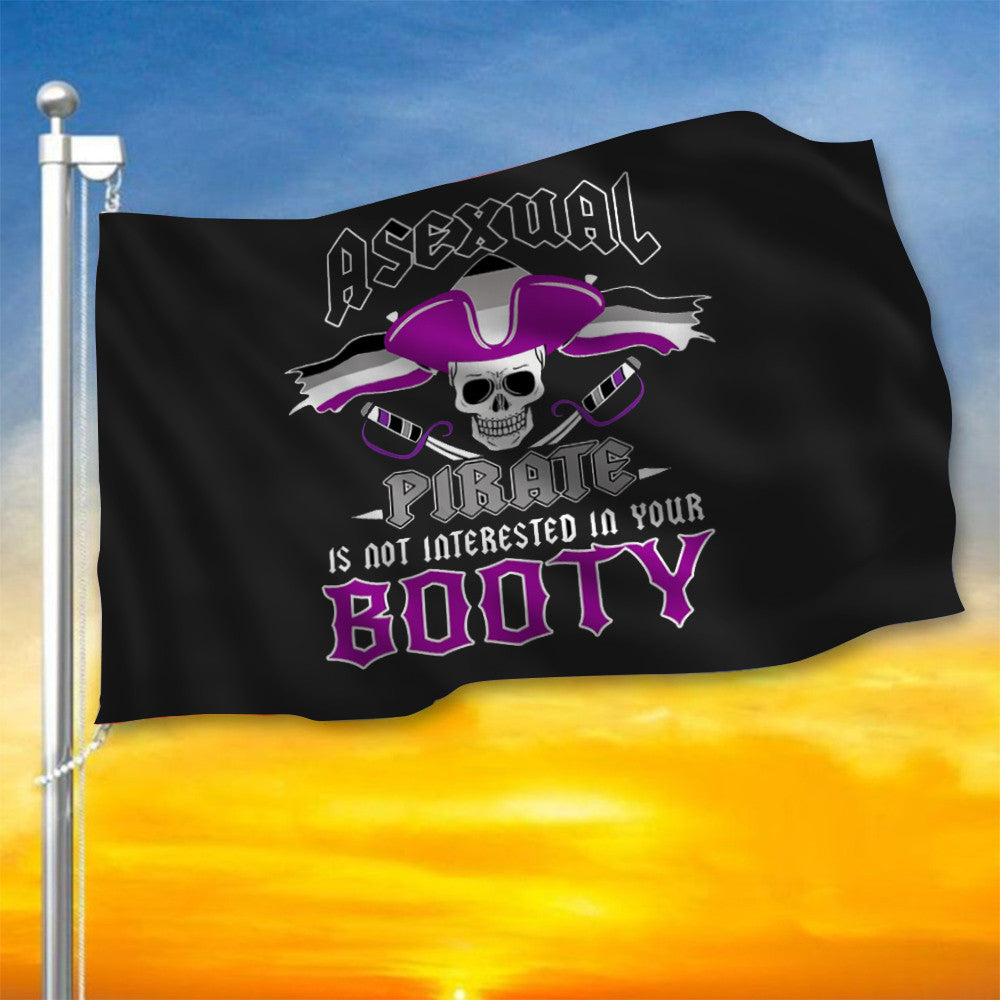 Asexual Flag Asexual Pirate Is Not Interested In Your Booty Flag LGBT Ace Flag