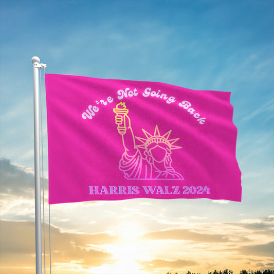 We're Not Going Back Kamala Harris Walz 2024 Flag President Election Kamala Campaign Flag