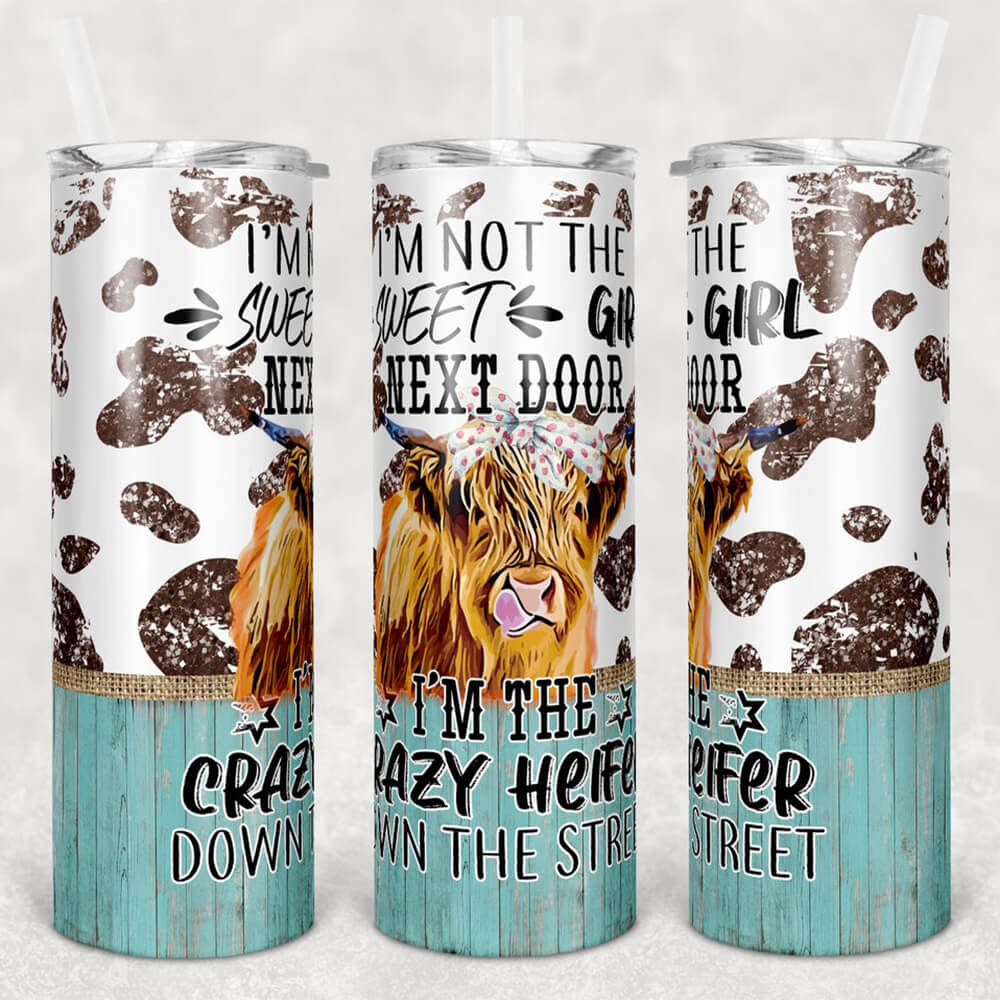 Skinny Tumbler Gift For Her Im the Crazy Heifer Down The Street