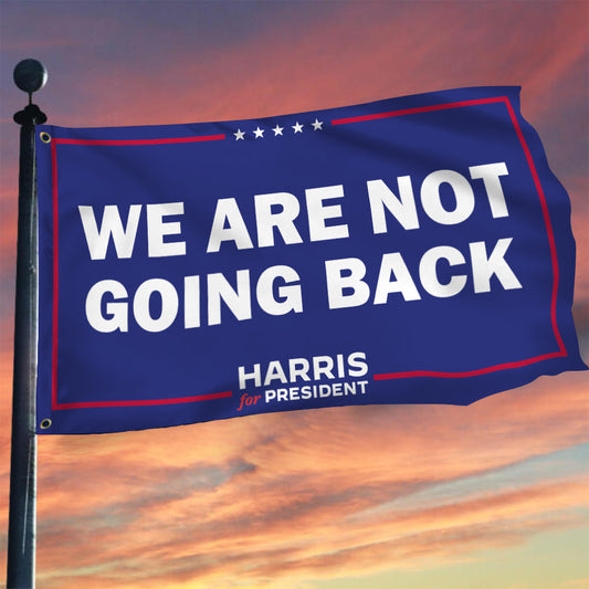 We Are Not Going Back Harris 2024 Flag Support President Kamala Harris Flag For Supporters