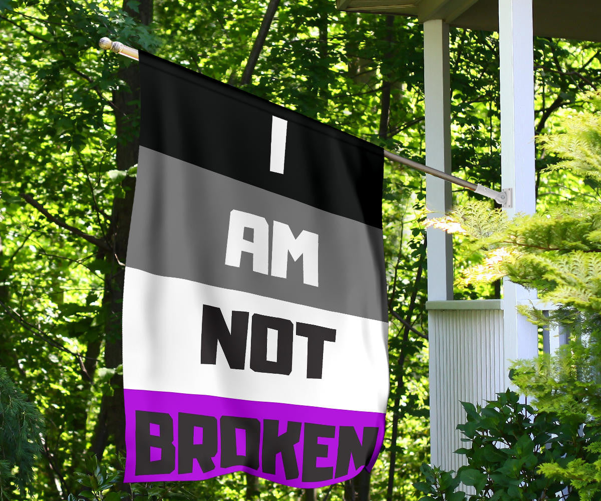 Asexual Flag I Am Not Broken International Asexuality Day LGBT Merch Ace Flag