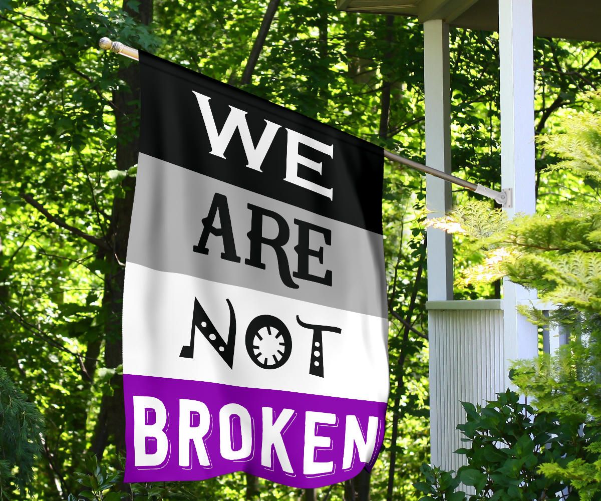 Asexual Flag We Are Not Broken International Asexuality Day LGBT Merch Ace Flag Asexual Pride