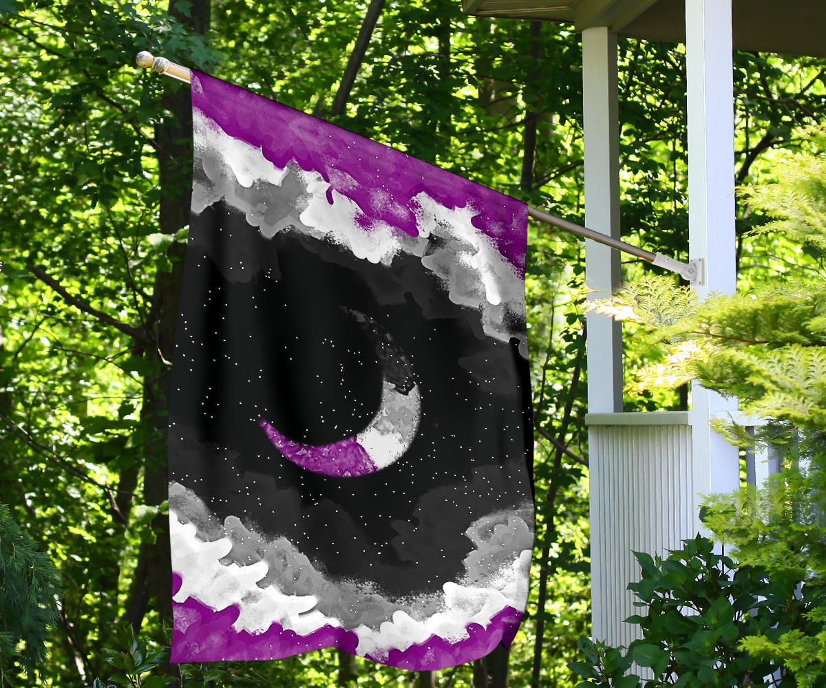 Asexual Flag Night Sky International Asexuality Day LGBT Hanging Decor Ace Flag