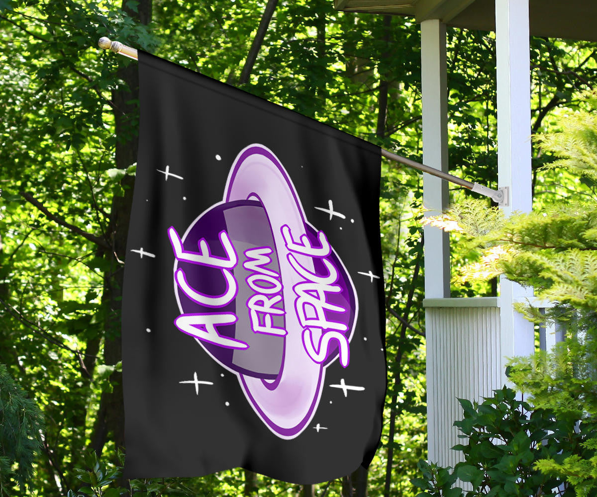 Asexual Flag Ace From Space International Asexuality Day Ace Flag Asexual Pride Merch LGBT