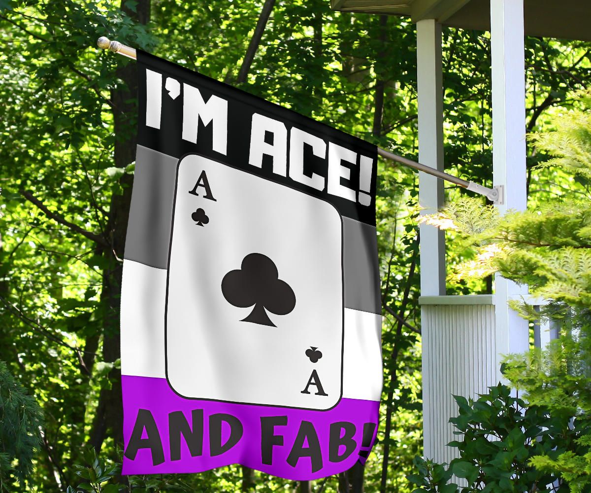 Asexual Flag I'm Ace And Fab International Asexuality Day Ace Flag LGBT Pride Parade