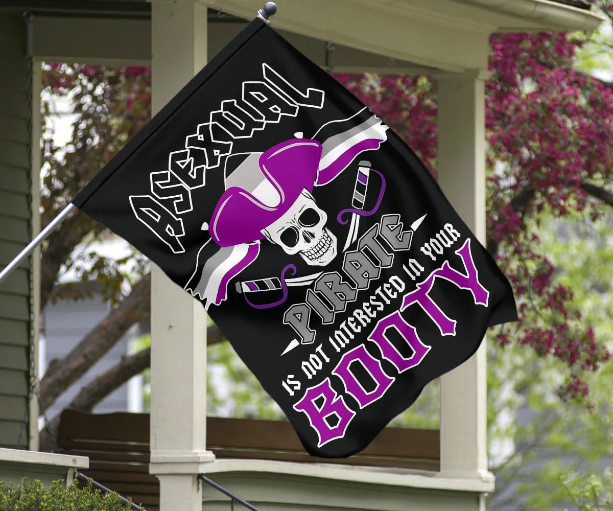 Asexual Flag Asexual Pirate Is Not Interested In Your Booty Flag LGBT Ace Flag