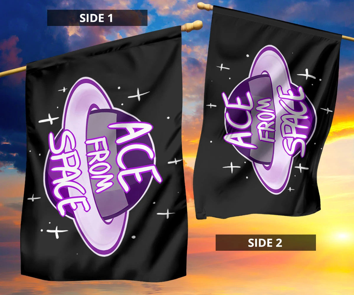 Asexual Flag Ace From Space International Asexuality Day Ace Flag Asexual Pride Merch LGBT