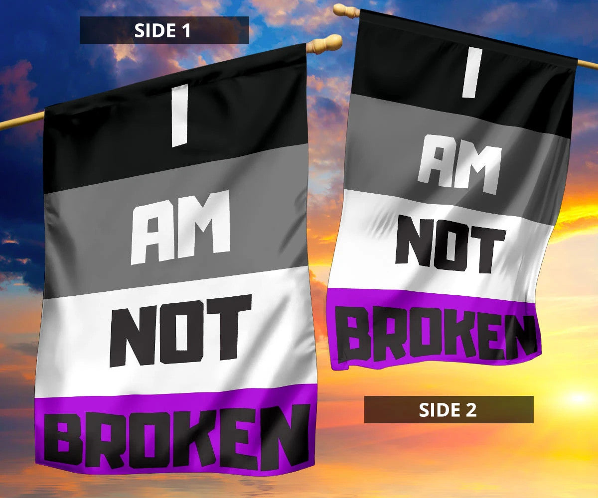 Asexual Flag I Am Not Broken International Asexuality Day LGBT Merch Ace Flag