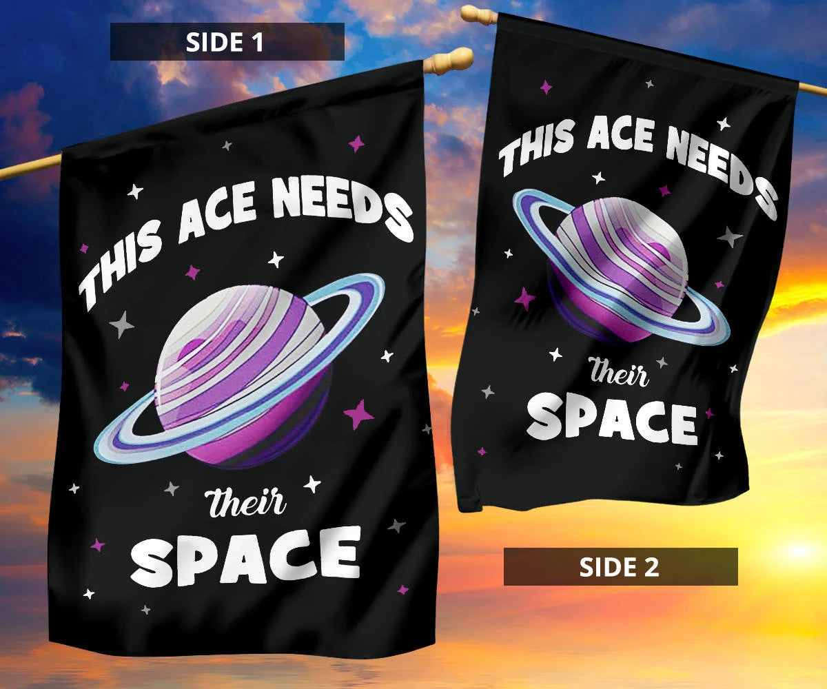 Asexual Flag This Ace Needs Their Space International Asexuality Day LGBT Ace Flag