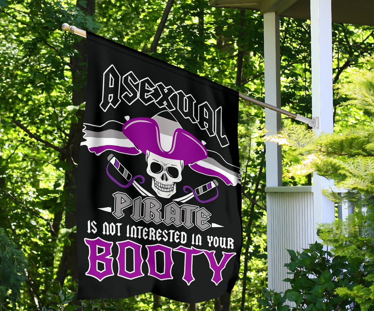 Asexual Flag Asexual Pirate Is Not Interested In Your Booty Flag LGBT Ace Flag