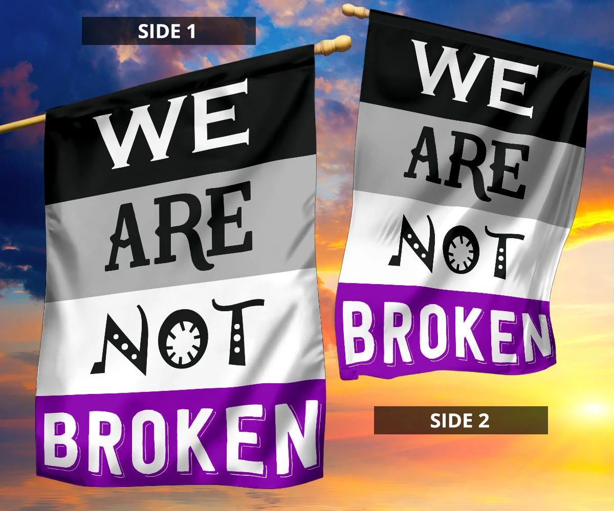 Asexual Flag We Are Not Broken International Asexuality Day LGBT Merch Ace Flag Asexual Pride