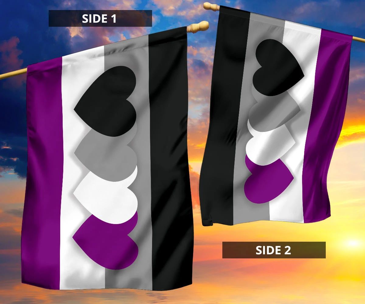 Asexual Flag International Asexuality Day LGBT Merch Ace Flag Asexual Pride Flag