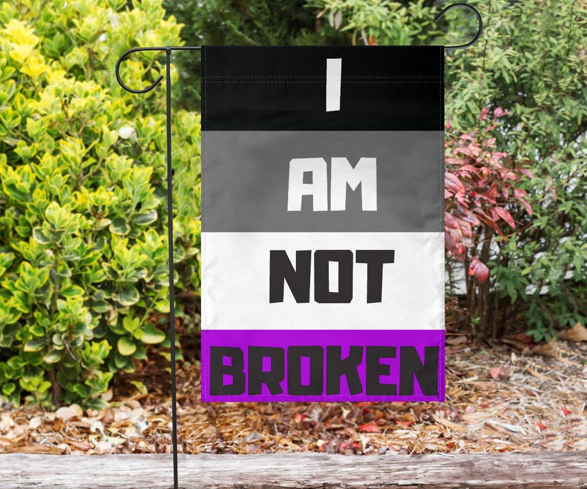 Asexual Flag I Am Not Broken International Asexuality Day LGBT Merch Ace Flag