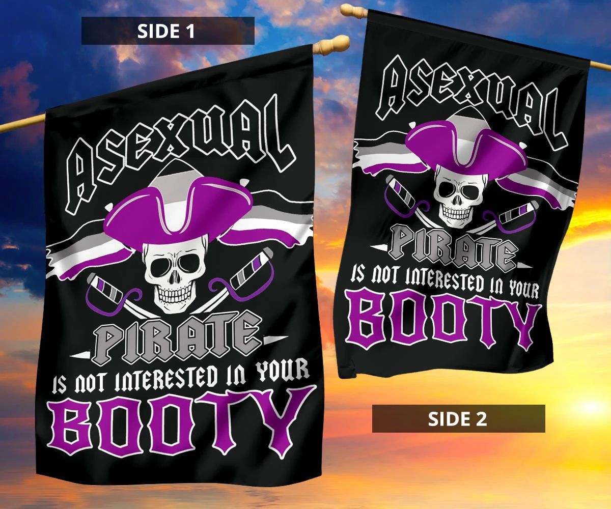 Asexual Flag Asexual Pirate Is Not Interested In Your Booty Flag LGBT Ace Flag