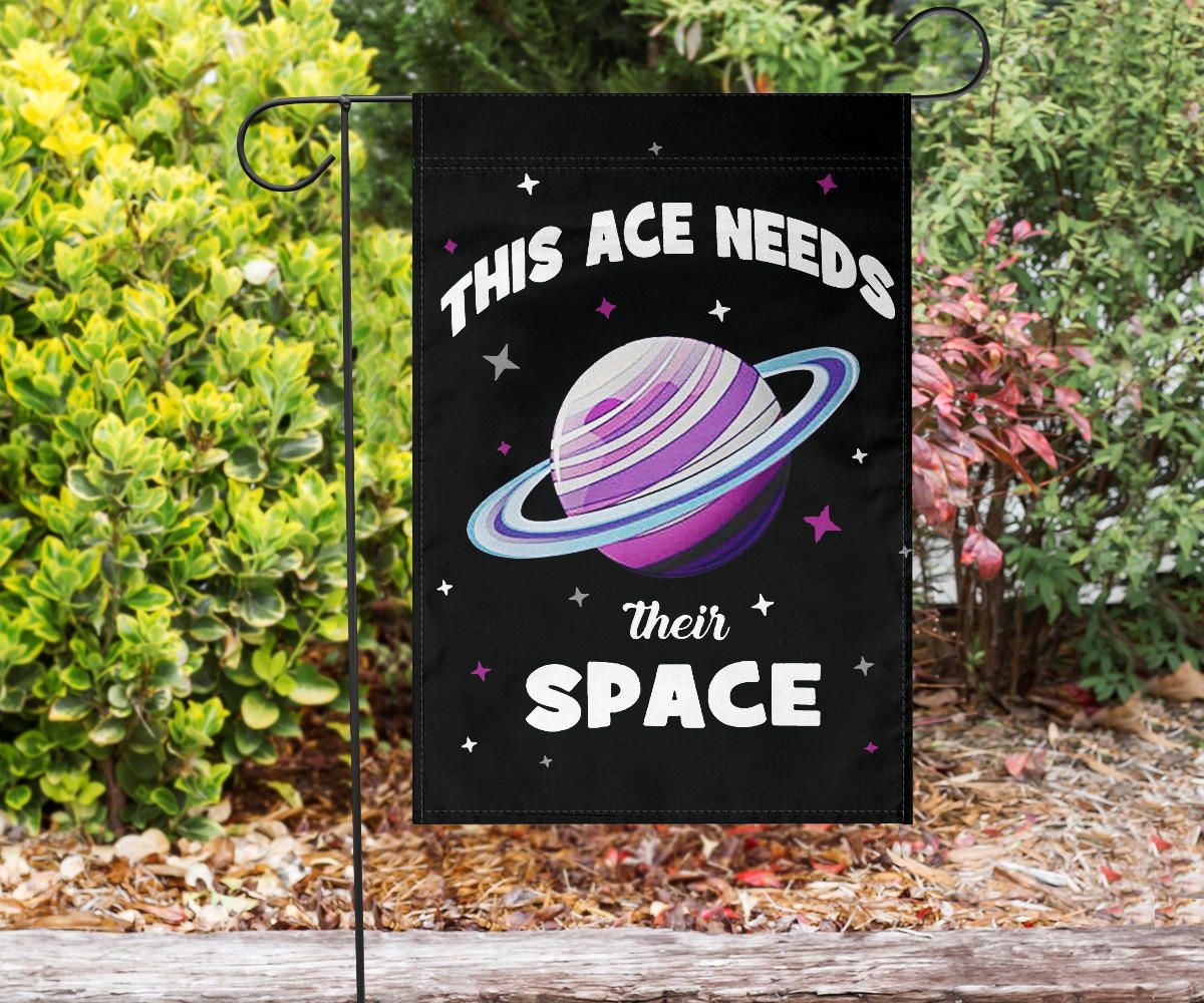 Asexual Flag This Ace Needs Their Space International Asexuality Day LGBT Ace Flag