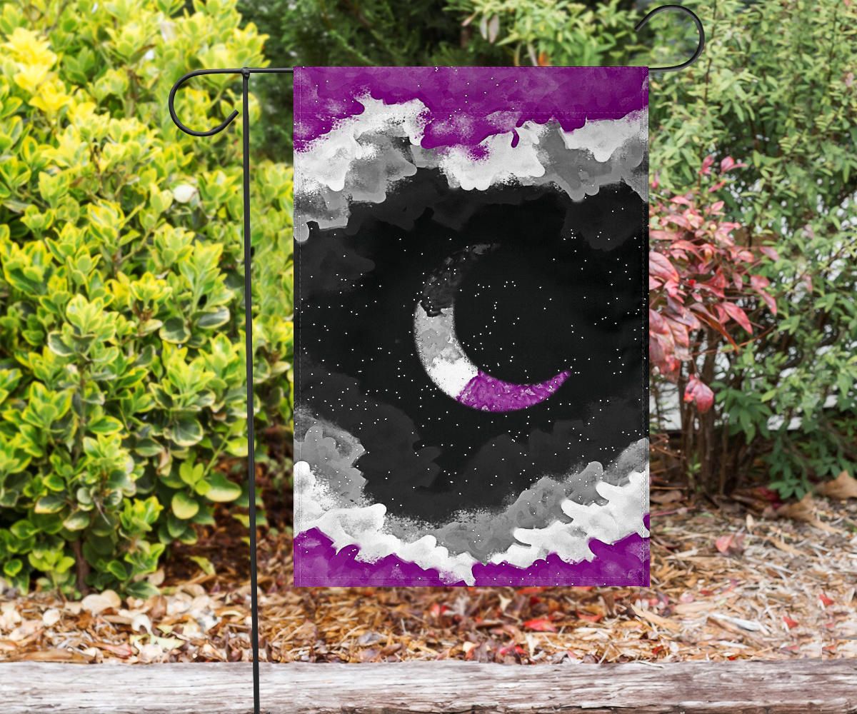 Asexual Flag Night Sky International Asexuality Day LGBT Hanging Decor Ace Flag