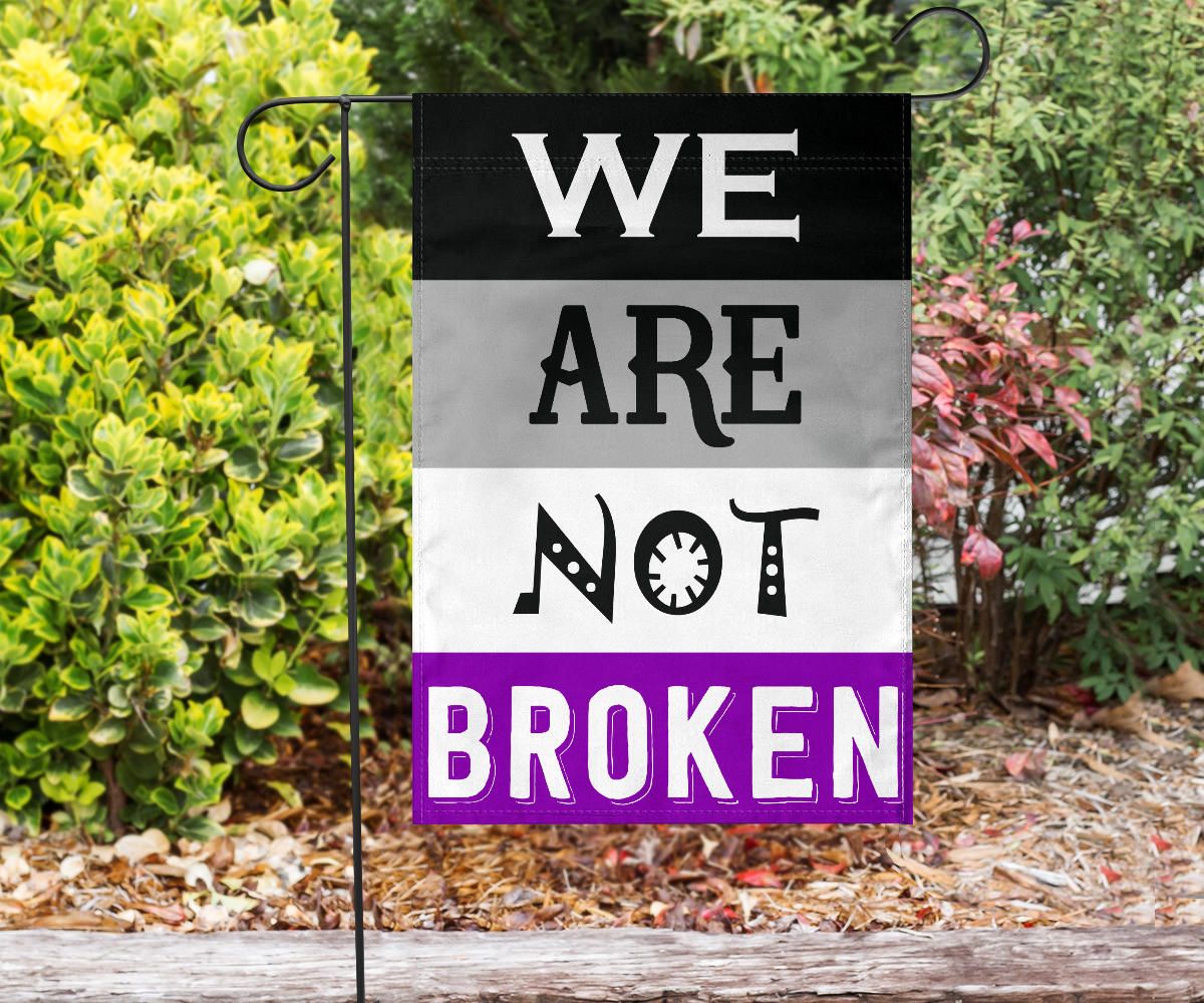 Asexual Flag We Are Not Broken International Asexuality Day LGBT Merch Ace Flag Asexual Pride