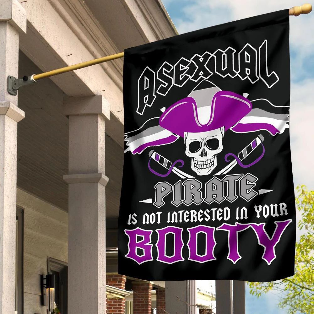 Asexual Flag Asexual Pirate Is Not Interested In Your Booty Flag LGBT Ace Flag