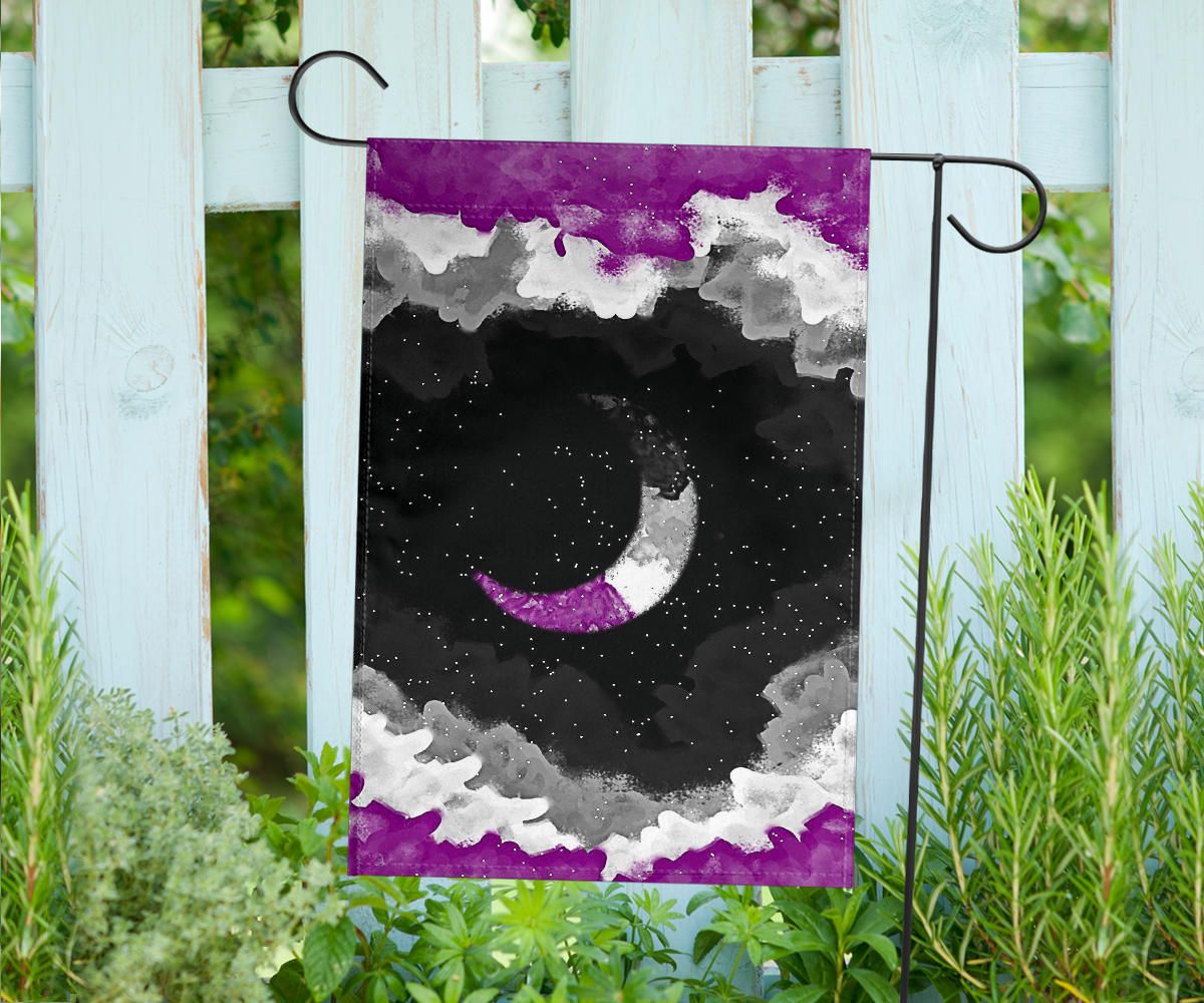 Asexual Flag Night Sky International Asexuality Day LGBT Hanging Decor Ace Flag