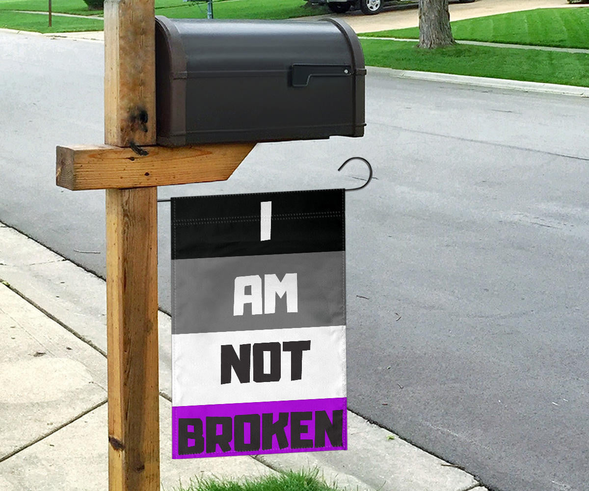 Asexual Flag I Am Not Broken International Asexuality Day LGBT Merch Ace Flag