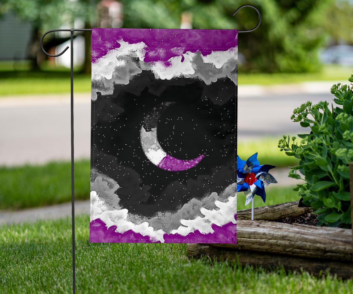 Asexual Flag Night Sky International Asexuality Day LGBT Hanging Decor Ace Flag