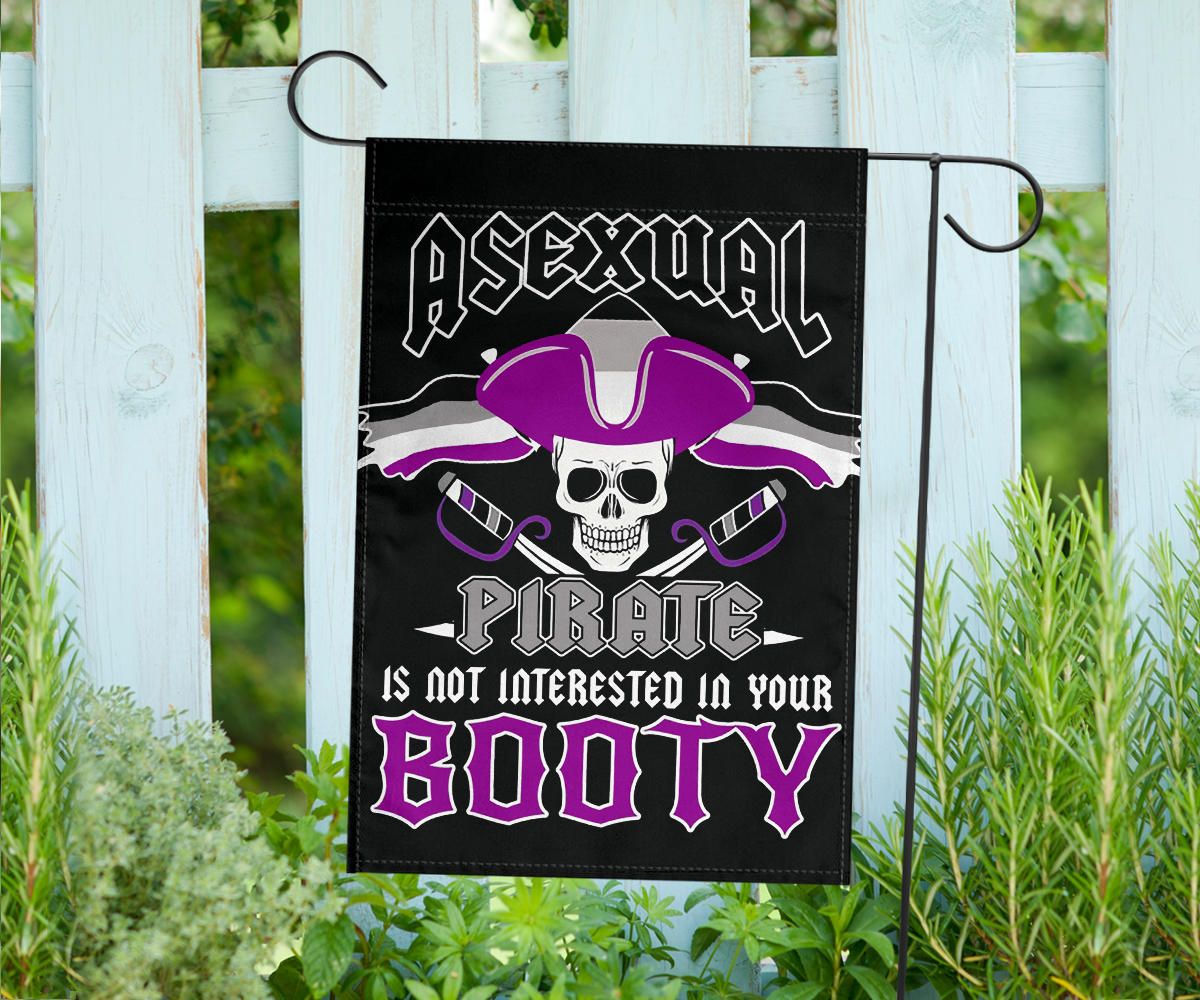 Asexual Flag Asexual Pirate Is Not Interested In Your Booty Flag LGBT Ace Flag