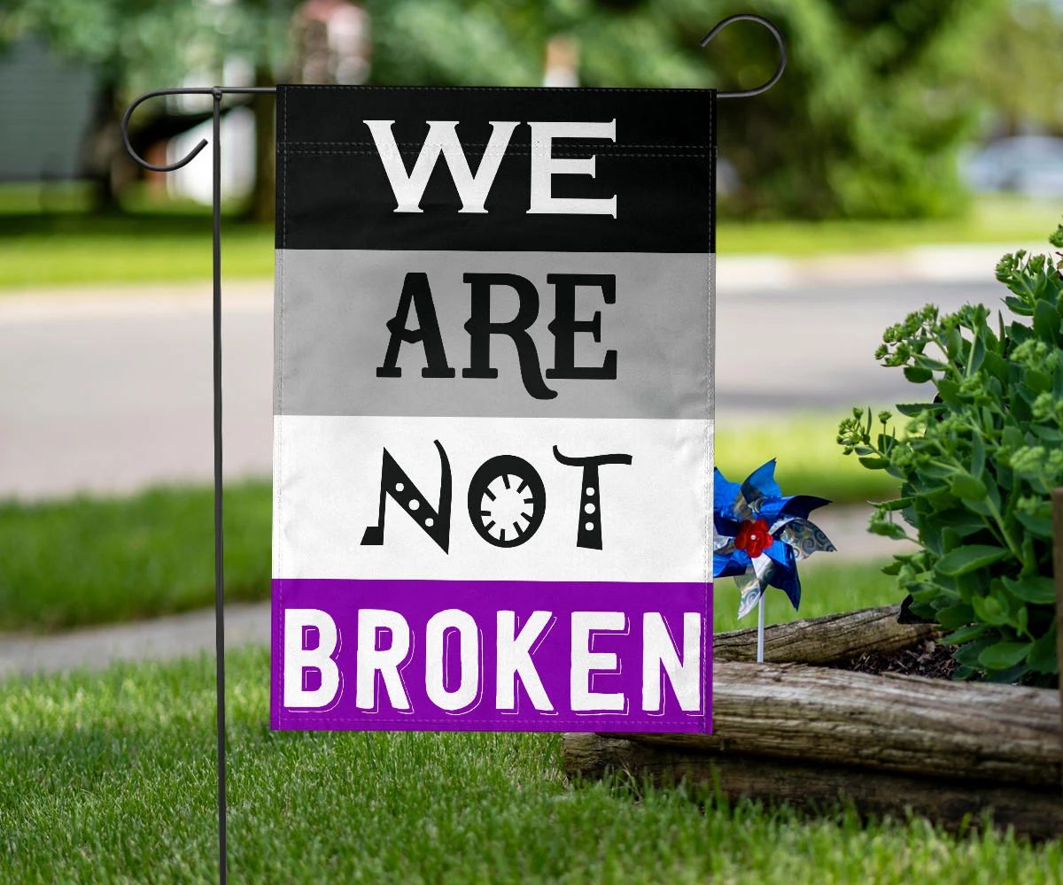 Asexual Flag We Are Not Broken International Asexuality Day LGBT Merch Ace Flag Asexual Pride