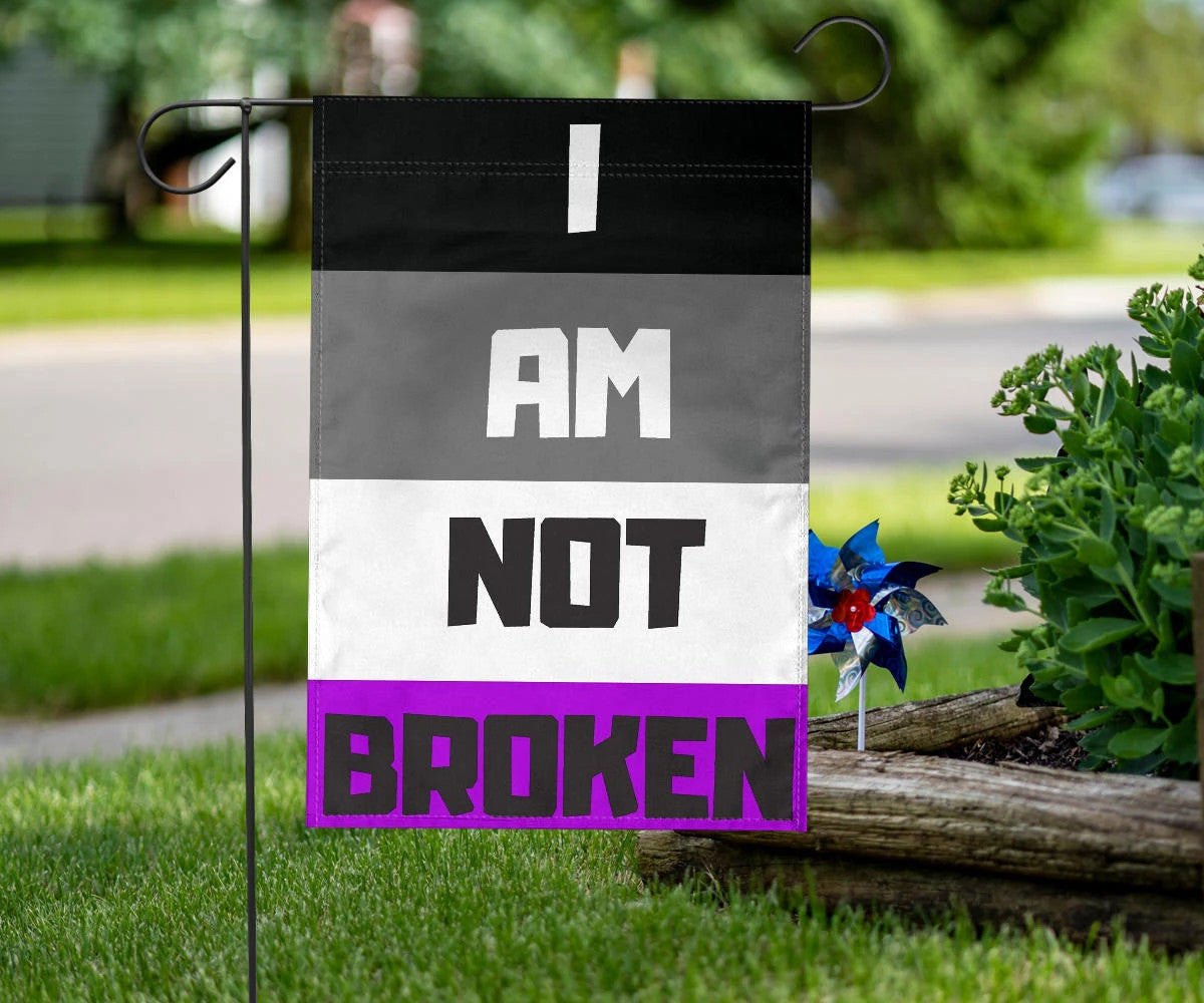 Asexual Flag I Am Not Broken International Asexuality Day LGBT Merch Ace Flag