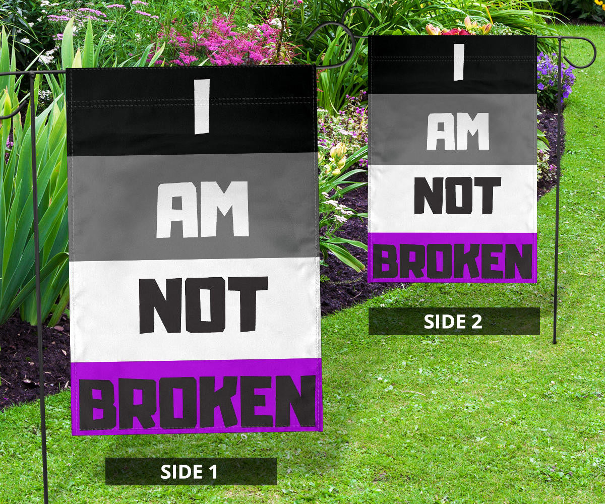 Asexual Flag I Am Not Broken International Asexuality Day LGBT Merch Ace Flag