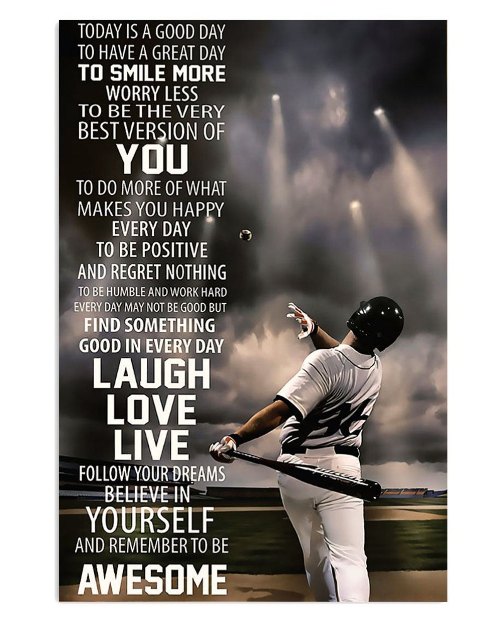 Baseball Lover Poster Gift