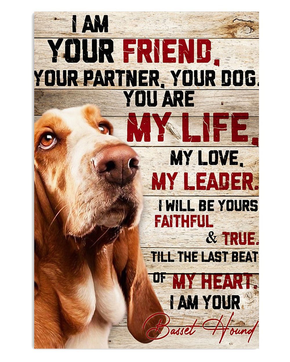 Basset Hound Dog Friendship Poster