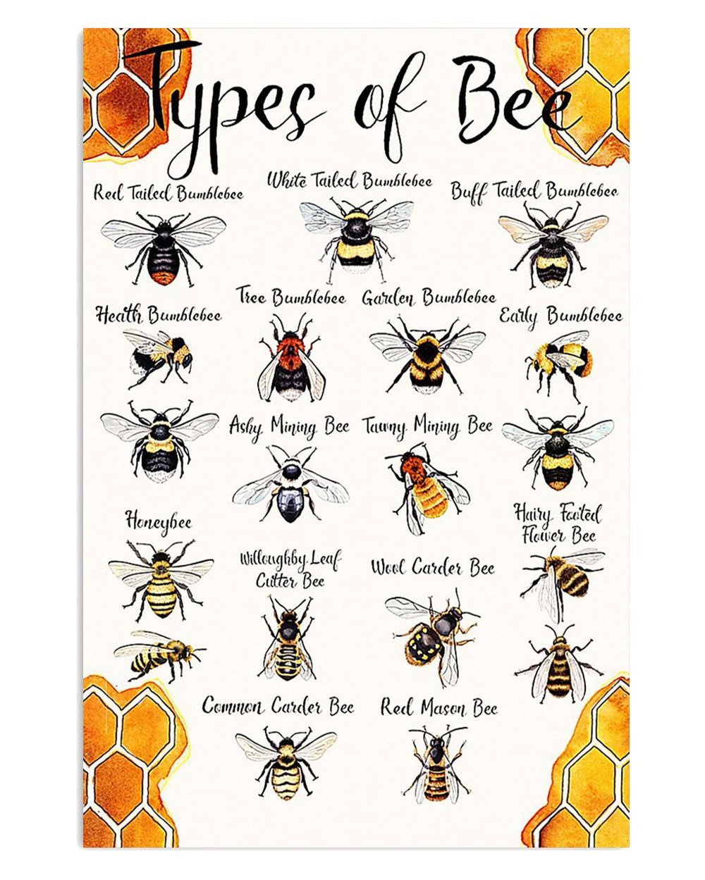 Bee Farming Educational Poster