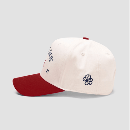 Dairy Boy Hat Embroidered Dairy Boy Merch Dad Father's Day Gifts - Lilybirchmarket
