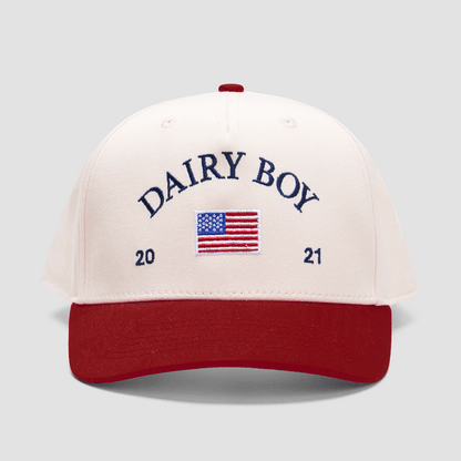 Dairy Boy Hat Embroidered Dairy Boy Merch Dad Father's Day Gifts - Lilybirchmarket