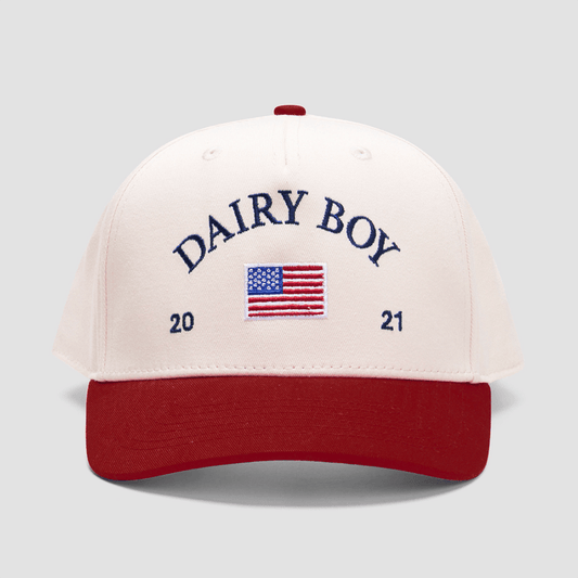 Dairy Boy Hat Embroidered Dairy Boy Merch Dad Father's Day Gifts - Lilybirchmarket