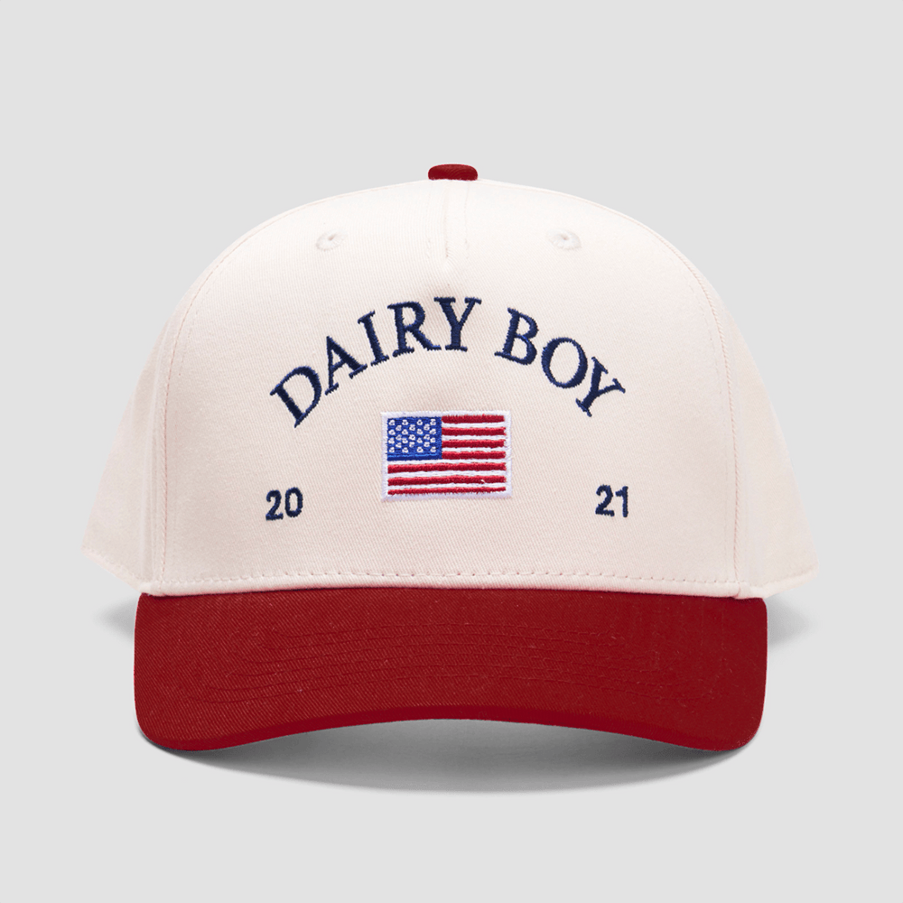 Dairy Boy Hat Embroidered Dairy Boy Merch Dad Father's Day Gifts - Lilybirchmarket