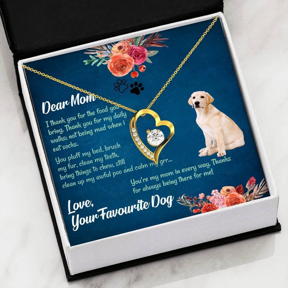 Labrador You're My Mom In Every Way Forever Love Necklace For Mom