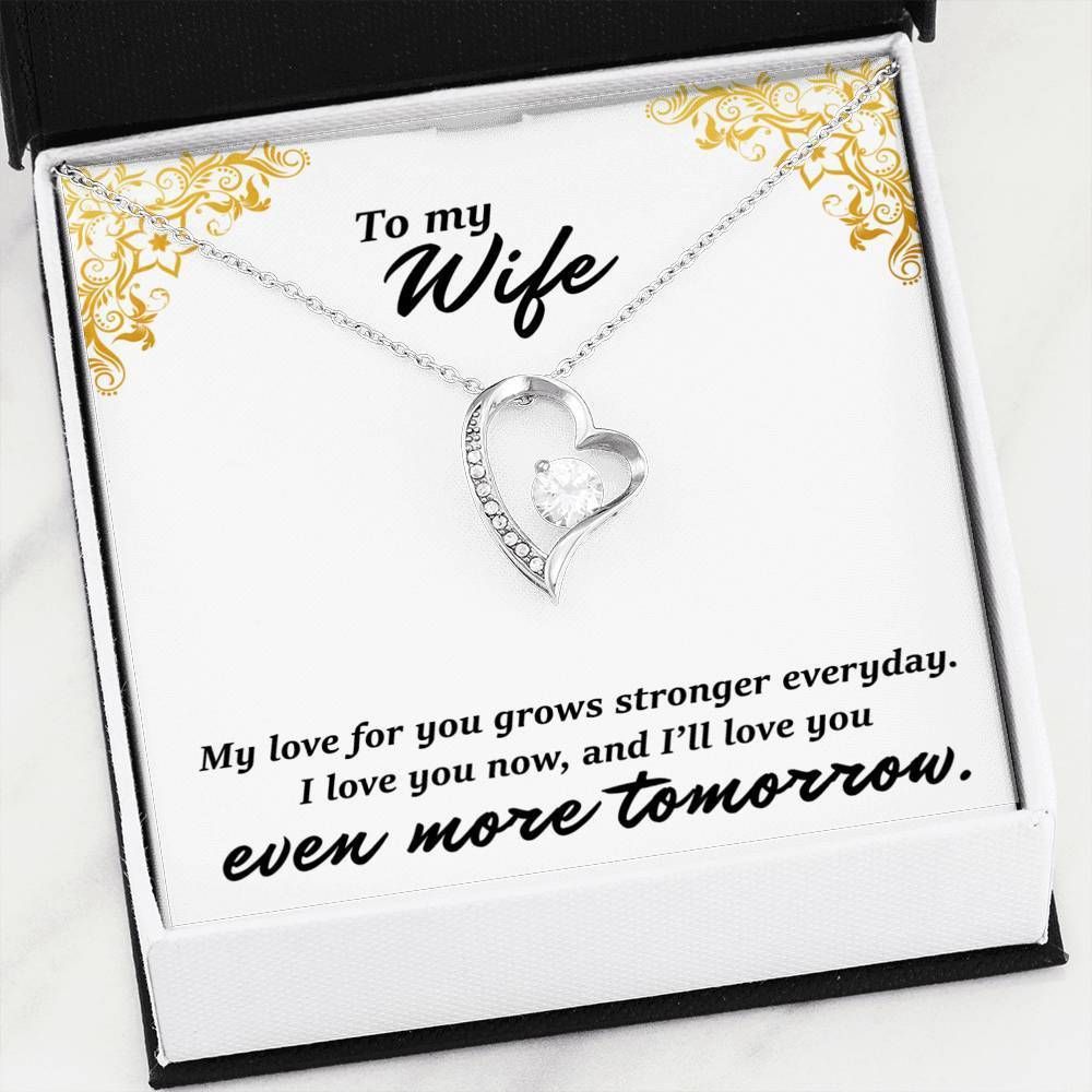 My Love For You Grows Stronger Everyday Forever Love Necklace For Wife