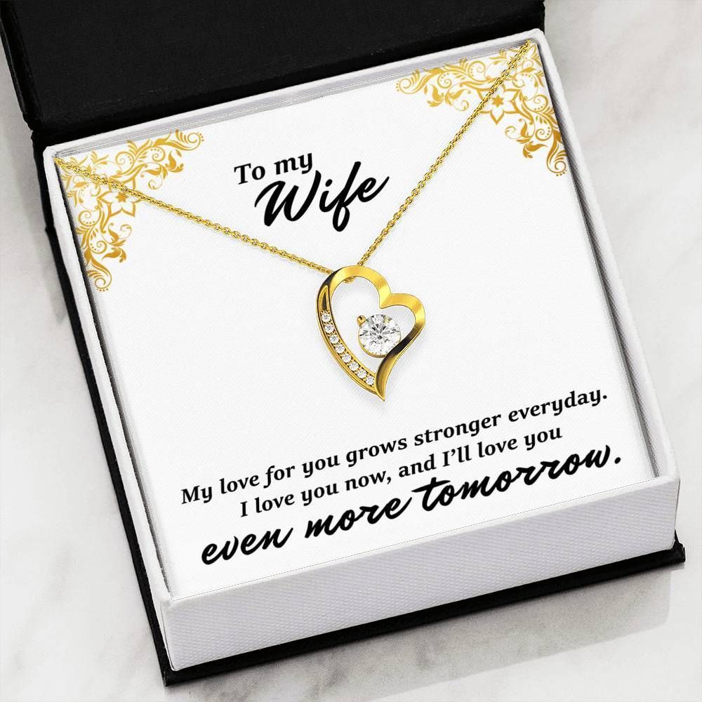 My Love For You Grows Stronger Everyday Forever Love Necklace For Wife